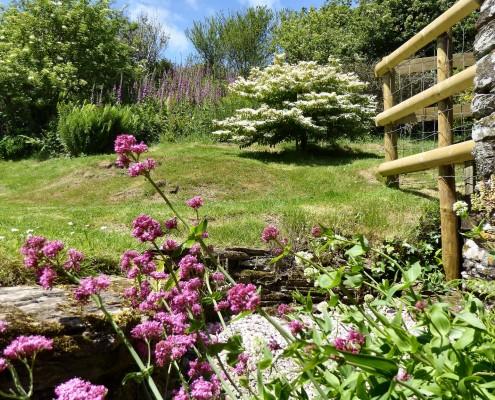 Cottage garden at Dittiscombe