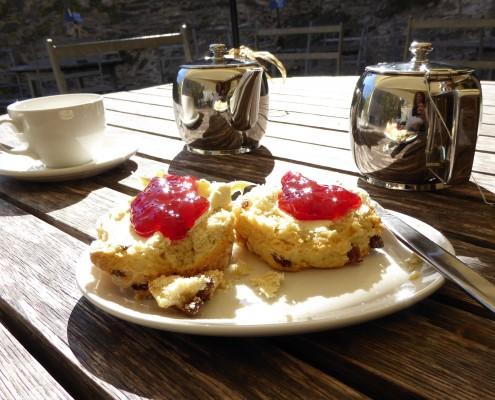 Devon Cream Tea Food & drink in the South Hams