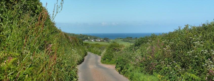 South Devon Lanes