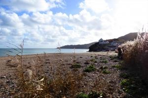 Reebeds at Hallsands