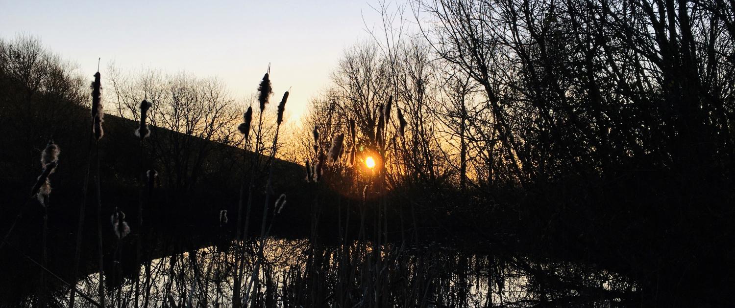 Sunset over the lower pond