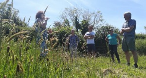 Rewilding walks and talks at Dittiscombe Estate