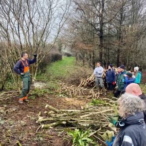 Ecology and Wildlife walk at Dittiscombe Estate