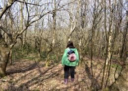 Forest Bathing at Dittiscombe Estate & Cottages