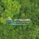Dittiscombe Estate & Cottages, near Slapton