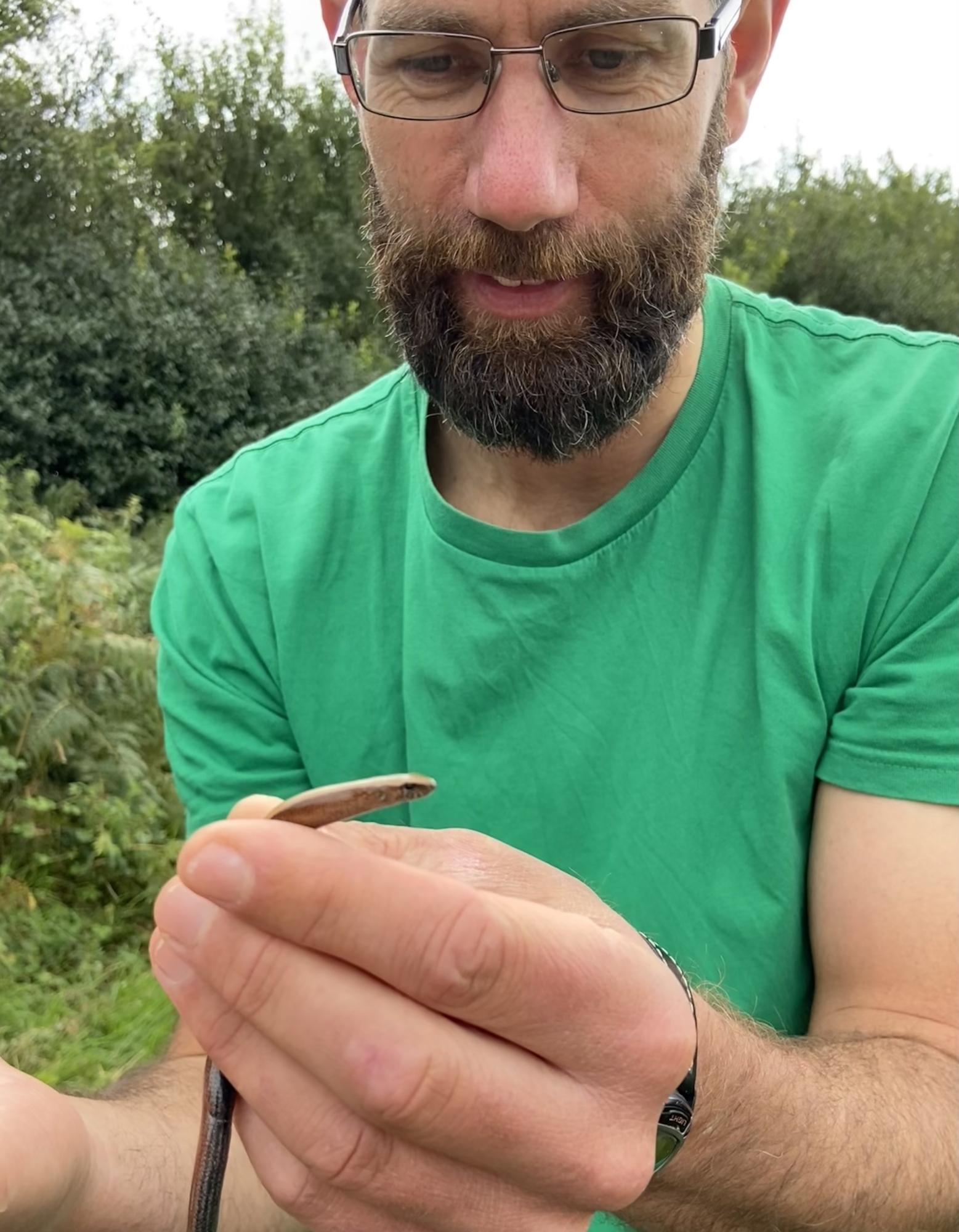 I-Spy Nature at Dittiscombe and Beyond