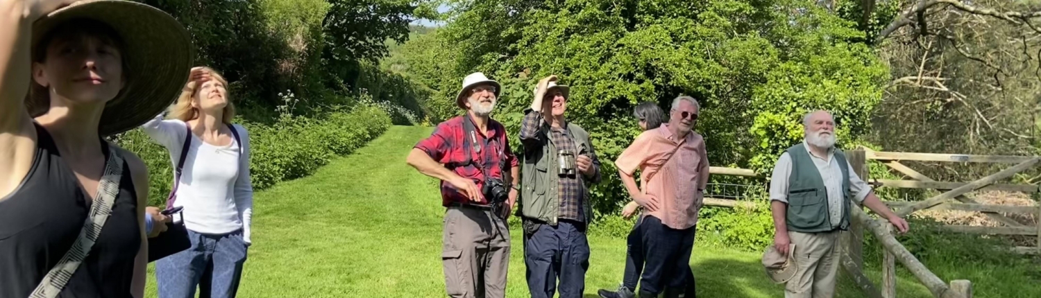 Devon Rewilding Network Walk, May 2024