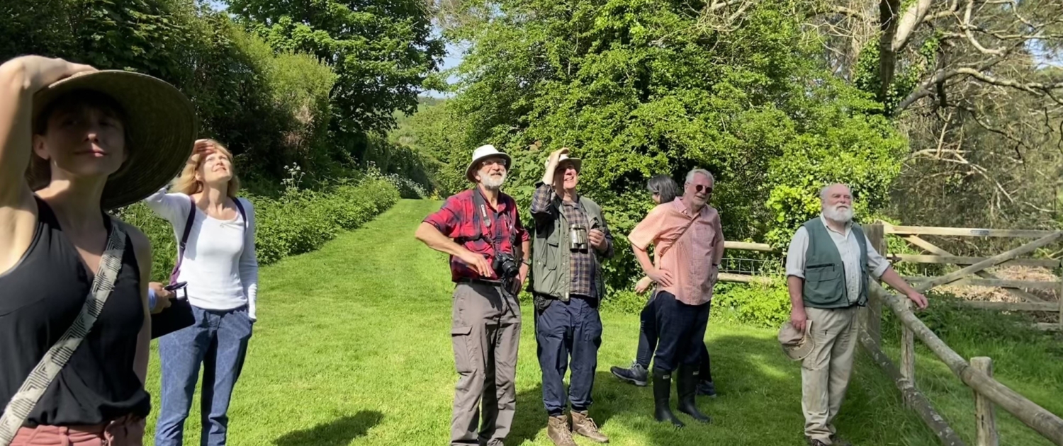 Devon Rewilding Network Walk, May 2024