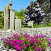ditowleryoutside2 23lowres The Owlery garden