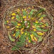 Forestbathingmandala23