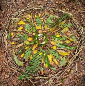 Forestbathingmandala23