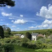 Dittiscombe Estate & Cottages 2026