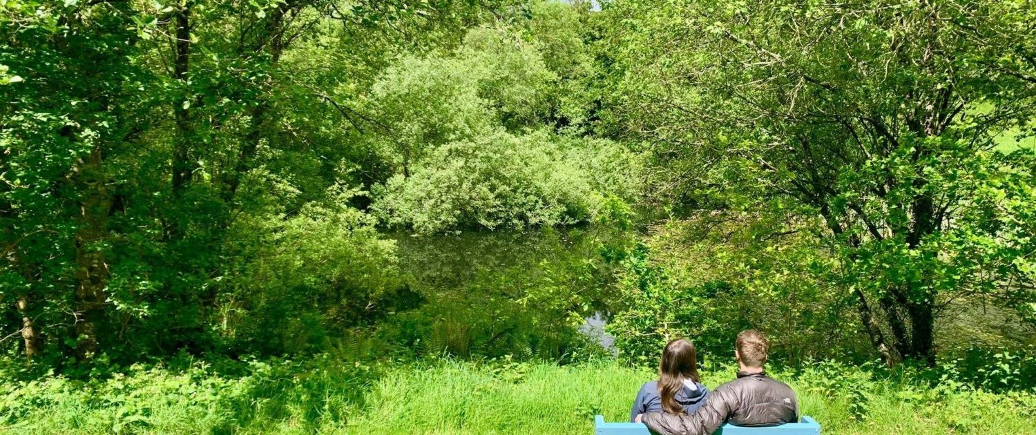 Seat overlooking the pond Quiet time in Dittiscombe valley