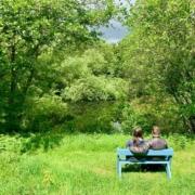 Quiet time in Dittiscombe valley