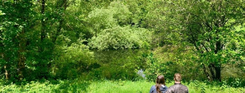 Quiet time in Dittiscombe valley