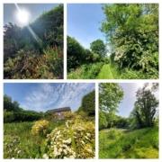 The Owlery cottage and surrounding valley The Owlery and surrounding valley