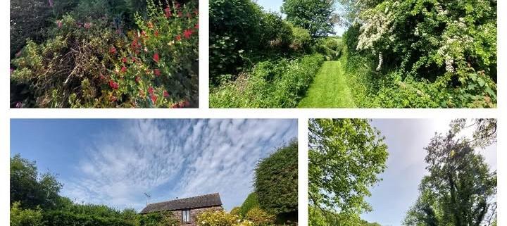 The Owlery cottage and surrounding valley The Owlery and surrounding valley