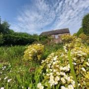 The Owlery set in the higher valley The Owlery, Dittiscombe Estate & Cottages