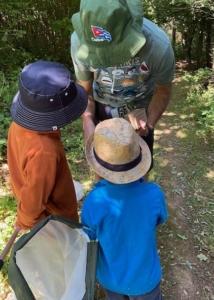 Family Friendly Nature Walks for School Holidays 2026